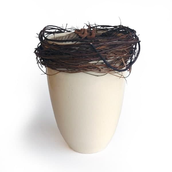 The Nest Vessel